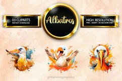 Albatross Clipart 03 variations Product Image 1