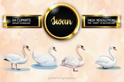 Swan Clipart 04 variations Product Image 1