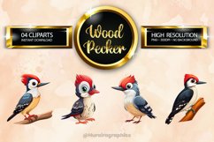 Woodpecker Clipart 04 variations Product Image 1