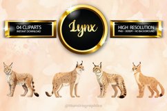 Lynx Clipart 04 variations Product Image 1