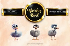 Ostrich Clipart 03 variations Product Image 1