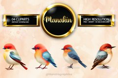 Manakin Clipart 04 variations Product Image 1