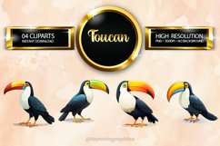 Toucan Clipart 04 variations Product Image 1