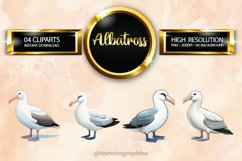 Albatross Clipart 04 variations Product Image 1