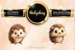 Hedgehog Clipart 02 variations Product Image 1