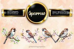 Sparrow Clipart 04 variations Product Image 1
