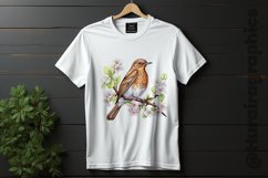 Thrush Clipart 04 variations Product Image 2