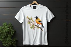 Oriole Clipart 04 variations Product Image 2