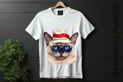 Burmese Cat Clipart 04 variations Product Image 2