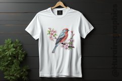 Finch Clipart 04 variations Product Image 2