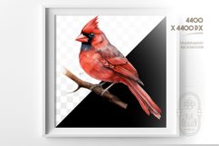 Red Cardinal | Watercolor Clipart Product Image 2