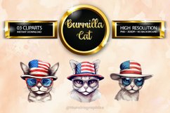 Burmilla Cat Clipart 03 variations Product Image 1