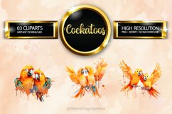 Cockatoos Clipart 03 variations Product Image 1