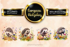 European Hedgehog Clipart 04 variations Product Image 1