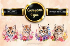 European Lynx Clipart 04 variations Product Image 1