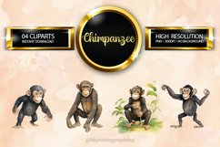 Chimpanzee Clipart 04 variations Product Image 1
