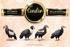 Condor Clipart 04 variations Product Image 1