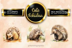 Echidna Clipart 03 variations Product Image 1