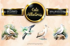 Albatross Clipart 04 variations Product Image 1