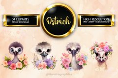 Ostrich Clipart 04 variations Product Image 1