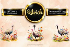 Ostrich Clipart 03 variations Product Image 1