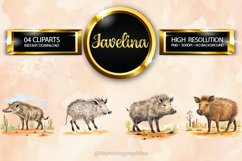 Javelina Clipart 04 variations Product Image 1