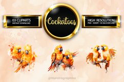 Cockatoos Clipart 03 variations Product Image 1