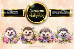 European Hedgehog Clipart 04 variations Product Image 1