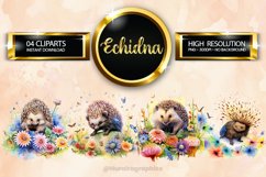 Echidna Clipart 03 variations Product Image 1