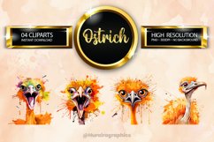 Ostrich Clipart 04 variations Product Image 1