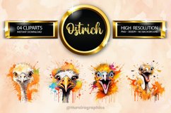 Ostrich Clipart 04 variations Product Image 1