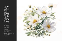 Watercolor cosmos flower clipart sublimation Product Image 1
