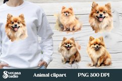 Pomeranian clipart PNG design, pomeranian dog sublimation design, pomeranian t shirt design