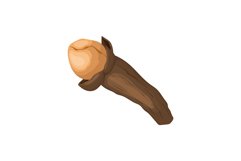 clove spice cartoon vector illustration Product Image 1