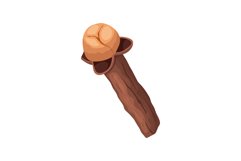 clove spice cartoon vector illustration Product Image 1