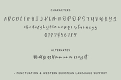 Cloverdale Script Font Product Image 10