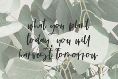 Cloverdale Script Font Product Image 2