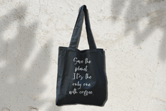 Cloverdale Script Font Product Image 3