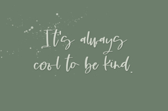 Cloverdale Script Font Product Image 4