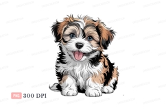 Fluffy puppy with blue eyes and pink tongue canine Product Image 1