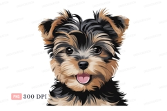 Fluffy Yorkshire Terrier Puppy canine Product Image 1