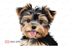 Yorkshire terrier puppy portrait animal Product Image 1