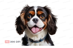 Happy tri color dog portrait canine animal Product Image 1