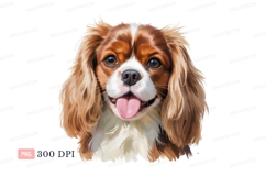 Happy dog portrait canine animal Product Image 1
