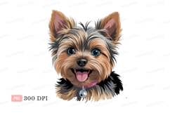 Yorkshire terrier happy dog puppy canine Product Image 1