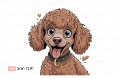 Curly brown poodle happy expression image Product Image 1