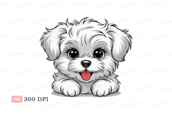 Fluffy white puppy with big eyes cute Product Image 1