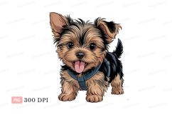 Adorable Yorkshire Terrier puppy wearing harness canine Product Image 1