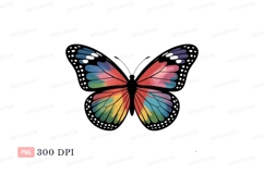 Colorful butterfly wings rainbow Product Image 1