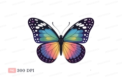Colorful butterfly with patterned wings insect purple Product Image 1